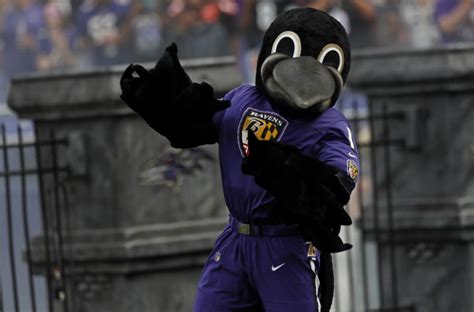 Unlucky Break: Ravens Mascot's Injury Captured on Film